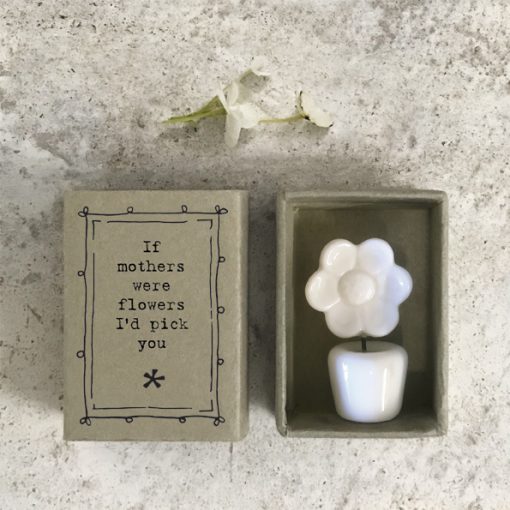 Matchbox Flower Pot