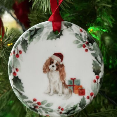 Cavalier King Charles Spaniel