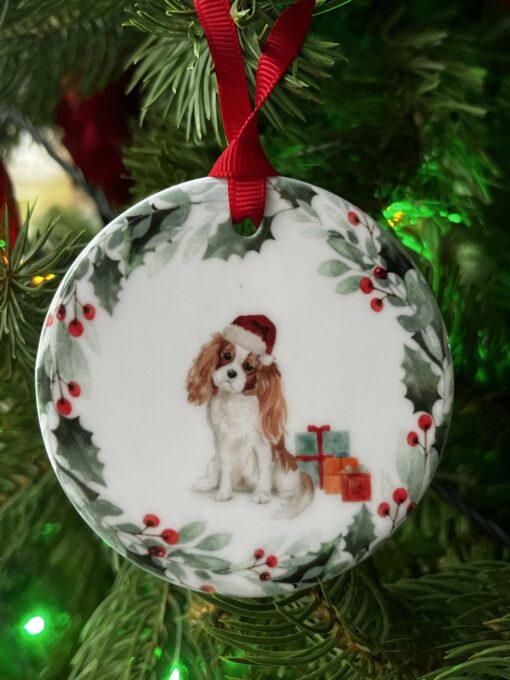 Cavalier King Charles Spaniel