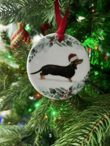 Black and Tan Dachshund